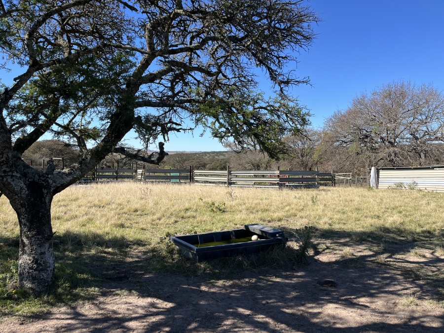 0 Bedroom Property for Sale in Stutterheim Rural Eastern Cape